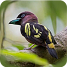 WWW,se437·COM网站APP
