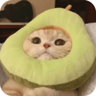 西瓜视频免费
